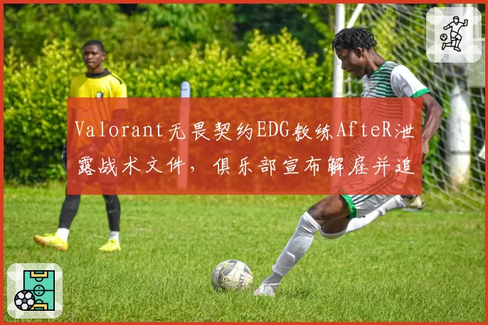 Valorant无畏契约EDG教练AfteR泄露战术文件，俱乐部宣布解雇并追究法律责任