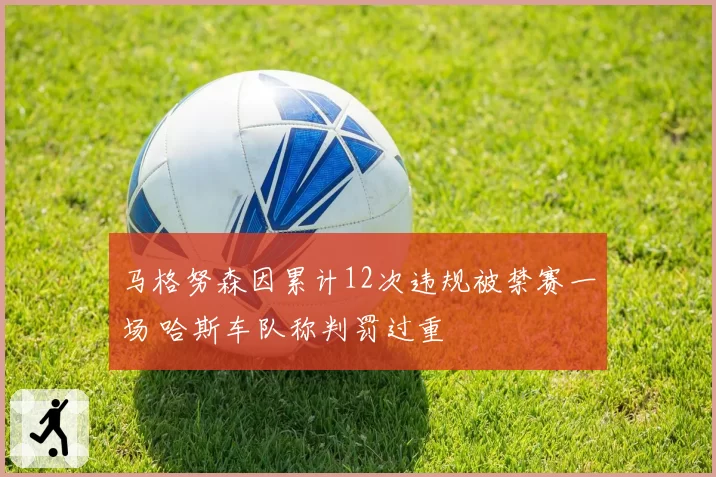 马格努森因累计12次违规被禁赛一场 哈斯车队称判罚过重